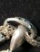 画像18: 【Antique】Victorian book chain locket 【England】