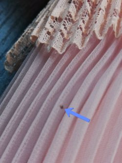 画像26: 【DeadStock】60's miss Elliette ヴィンテージ シフォンプリーツドレス