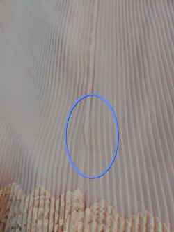 画像27: 【DeadStock】60's miss Elliette ヴィンテージ シフォンプリーツドレス